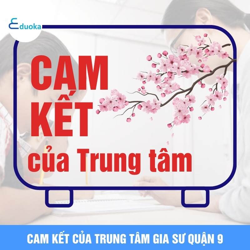 Cam kết của Trung tâm gia sư quận 9