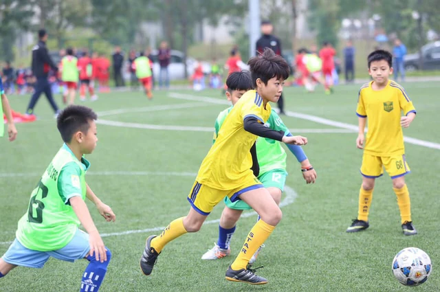 Bóng Đá Voi Việt – trung dạy bóng đá trẻ em TPHCM uy tín