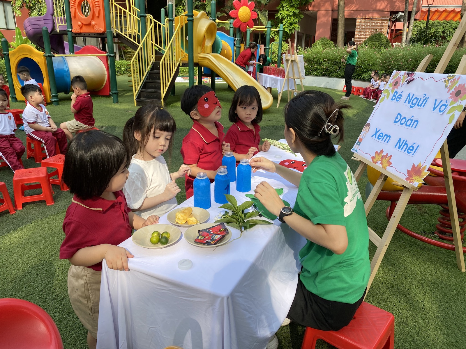 Trung tâm Toán tư duy FISO