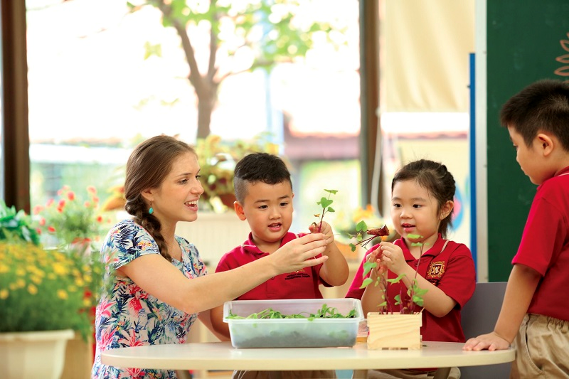Trường Quản trị cuộc đời LiMA