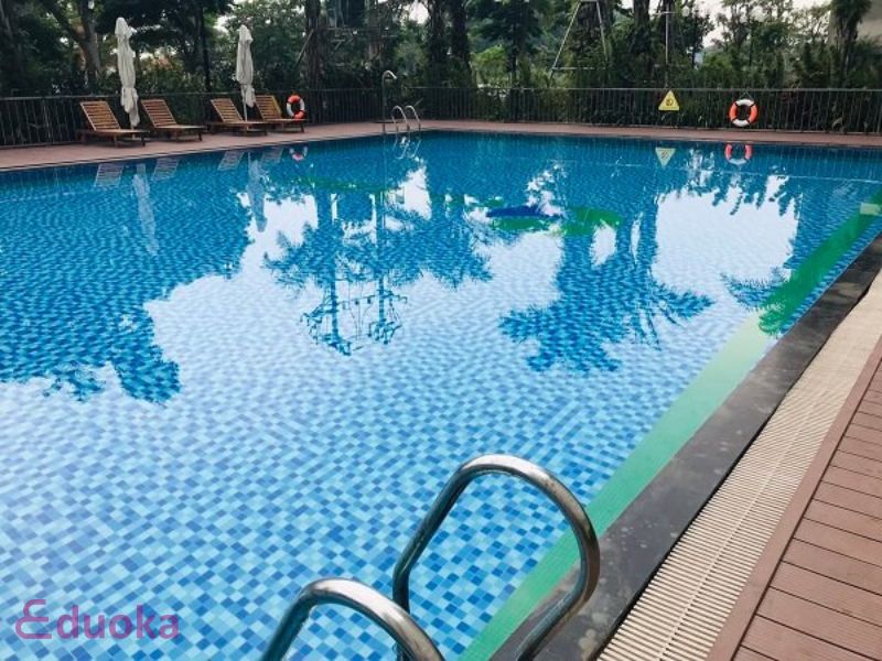 Eduoka - Nền tảng chuyên cung cấp lớp học bơi chất lượng tại TP. HCM