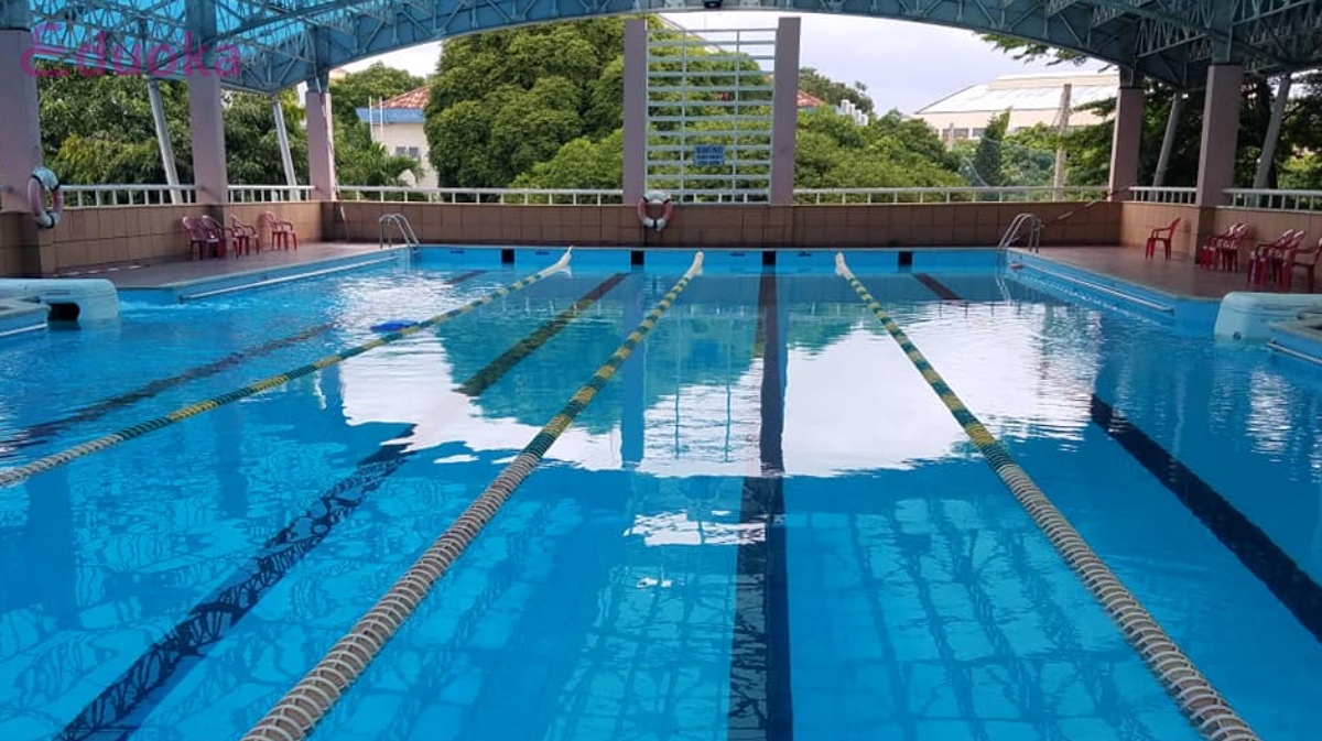 Danh sách 12+ hồ bơi Tân Bình view đẹp, chất lượng