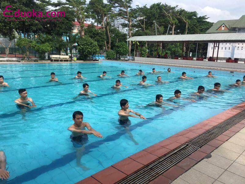 Hồ bơi Trung tâm Thể dục Thể thao Q8