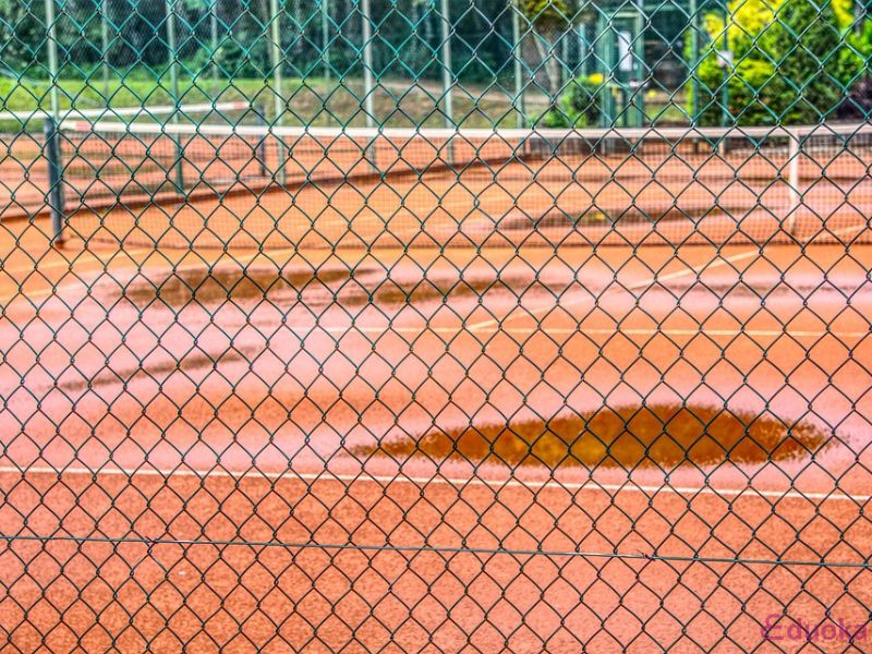 Chi phí thuê sân tập Tennis